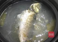 鲫鱼薏米白萝卜葱汤 的做法图解13