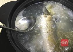 鲫鱼薏米白萝卜葱汤 的做法图解14