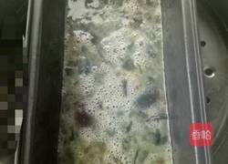 三色蛋的做法图解7