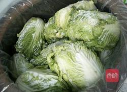 东北腌酸菜的做法的做法图解9