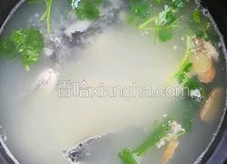 黑鱼汤