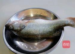 孔雀开屏鱼的做法图解2