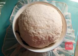 香菜肉饺子的做法图解3