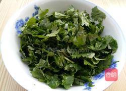 香菜肉饺子的做法图解1