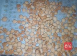 小馒头的做法图解11
