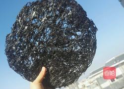 煎（烙）紫菜片的做法图解1