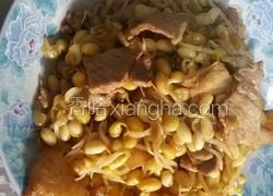 猪肉炒黄豆芽