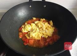 西红柿炒鸡蛋的做法图解5