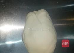 香菇笋肉包的做法图解1