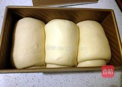 奶香吐司450g的做法图解18