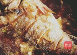 红烧鲈鱼的做法图解4