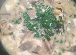 黄腊丁平菇豆腐汤