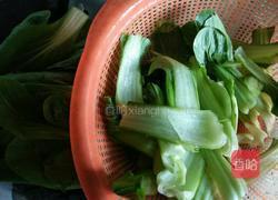香菇炒油菜的做法图解5