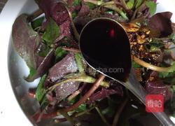 春季野菜~凉拌折耳根（叶）的做法图解10