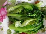 蚝油生菜