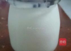 自制酸奶的做法图解6