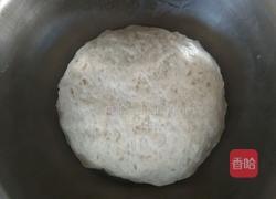 千层烤饼(发面)的做法图解3