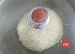 千层烤饼(发面)的做法图解4