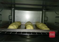 长辫子面包（波兰种）的做法图解12