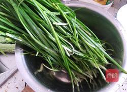 韭菜盒子的做法图解5