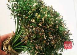 韭菜花拌剁椒的做法图解4