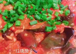 红烧双茄（茄子+番茄）