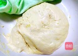 传统老肥发面罗卜丝烧饼的做法图解3