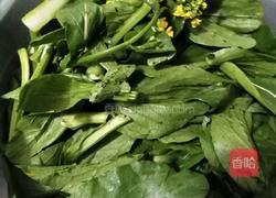 蒜蓉菜心的做法图解1