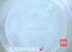 蒜蓉粉丝扇贝的做法图解5