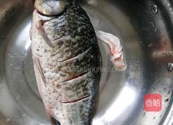 红烧鲫鱼的做法图解3