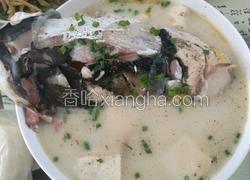 清炖鱼头豆腐汤