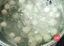 新式手工汤圆（糯米糍）的做法图解9