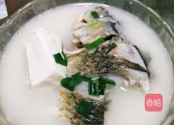 鲫鱼豆腐汤的做法图解15
