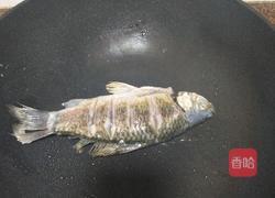 鲫鱼豆腐汤的做法图解5