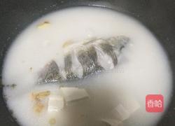 鲫鱼豆腐汤的做法图解11