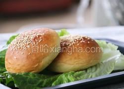 椰香汉堡胚（波兰种）