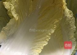 花开富贵的做法图解2