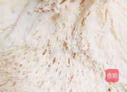 全麦粉红豆包(减肥包)的做法图解3