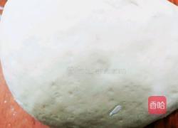 全麦粉红豆包(减肥包)的做法图解4