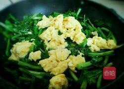 茼蒿炒鸡蛋的做法图解5