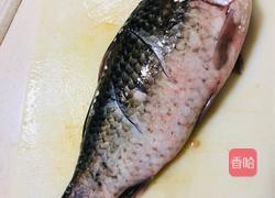 鲫鱼豆腐汤的做法图解1