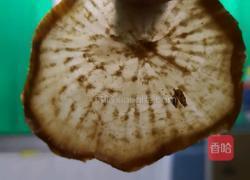 奶奶牌下饭菜（萝卜干炒豆干）的做法图解4