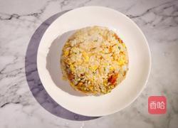 西红柿蛋炒饭的做法图解8