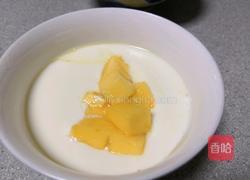 姜撞奶的做法图解9
