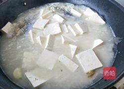 鲫鱼炖豆腐的做法图解7