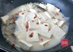 鲫鱼炖豆腐的做法图解9