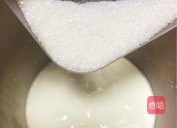 自制葡萄干酸奶的做法图解2
