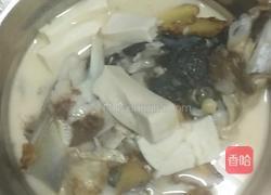鱼头豆腐汤的做法图解6
