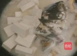 鱼头豆腐汤的做法图解5