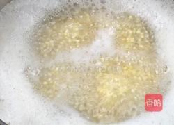 皮蛋鸡肉小米粥的做法图解4